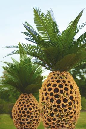 Preston Bailey, Pineapple Flowers, Sunflower Centerpieces, Topiary Garden, Flower Sculptures, Deco Floral, Preston, Pretty Flowers, Cactus Plants