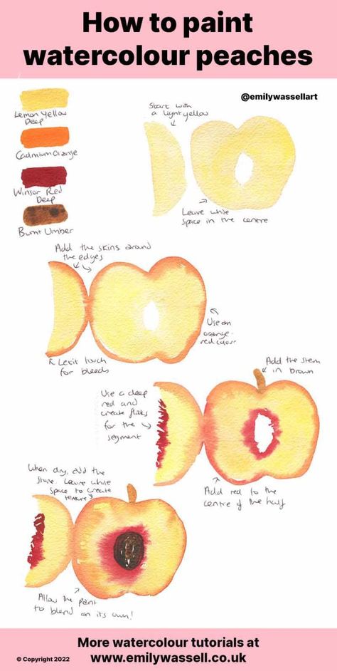 How To Paint A Peach, Watercolor Peach Tutorial, Peach Crafts, Watercolour Step By Step, Peach Painting, Watercolour Tutorial, Watercolor Pencil Art, Peach Watercolor, Watercolor Supplies