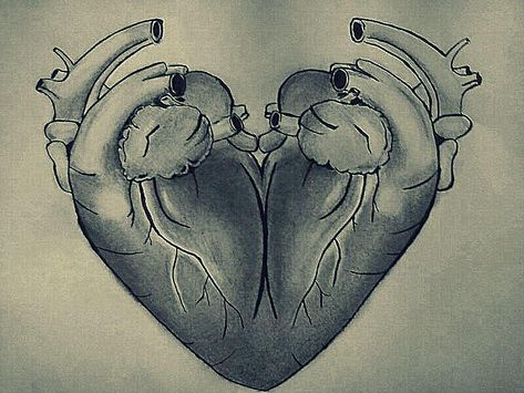 Unknown Facts : Heart logo that you use for love is actually two human hearts fused together – Today I learned something new Twin Quotes, Twin Flame Quotes, Aunt Quotes, Sister Love Quotes, Grandmother Quotes, Father Daughter Quotes, Twin Souls, Twin Flame Love, Heart Symbol