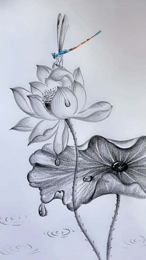 Dragon Tattoo Ideas, Lilies Drawing, Abstract Pencil Drawings, Painting Fashion, Flower Drawing Tutorials, Nature Art Drawings, Pencil Sketch Images, Instagram Painting, Lotus Art