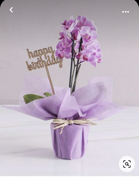 Orchid Gifts, Pink Orchids Centerpiece, Happy Birthday Will, Diy Orchids, Bouquet Bag, Orchid Flower Arrangements, Blooming Orchid, Orchid Centerpieces, Pink Happy Birthday