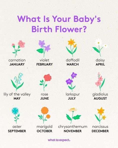 What's your baby's birth flower? 💐🌼 Each month has its own special flower - just like star signs, birth flowers are believed to predict your little one's personality traits and temperament. 🌸⁠ Baby Planning, Special Flowers, Personality Traits, Baby Birth, Star Flower, Birth Flowers, Lily Of The Valley, Star Signs, Daffodils