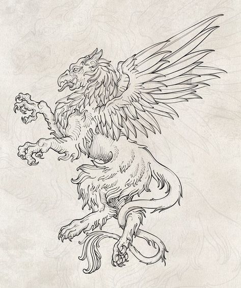 Celtic Mythical Creatures, Gryphon Tattoo Design, Medieval Creatures Art, Medieval Dragon Drawing, Mythical Creatures Sketches, Gryphon Drawing, Griffin Tattoo Design, Medieval Griffin, Griffon Tattoo