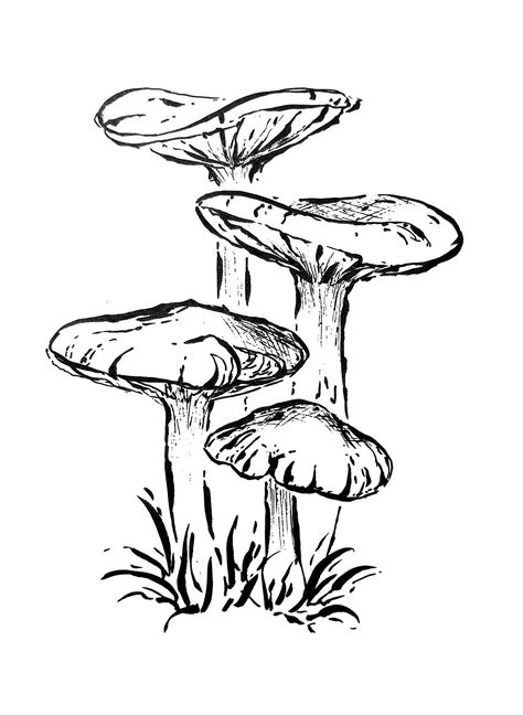 Sketchbook Art Inspiration Mushroom, Mushroom Art Reference, Ink Drawing Mushroom, Flat Mushroom Drawing, Cluster Of Mushrooms Drawing, Fairy Drawings Cute, Pencil Art Drawings Mushroom, Mushroom Fungi Art, Nature Aesthetic Art Drawing