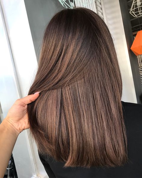 Brown Hair Balayage, Ombré Hair, Nails 2020, Brown Blonde Hair, 2020 Trends, Hair Inspiration Color, Hair Inspo Color, Light Brown Hair, Hair Color Trends