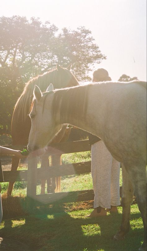 Horse Film Photography, Riding Horse Photography, Farm Photoshoot, Cottage Vibes, Family Films, Riding Horse, Farm Photo, Horse Farm, Photography Film