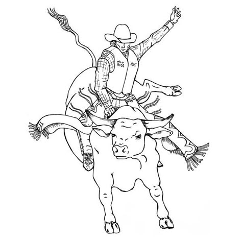 Teddy Bear Coloring Pages, Cow Photography, Bucking Bulls, Cowboy Artists, Bull Art, Leather Tooling Patterns, Tooling Patterns, Bear Coloring Pages, Bull Riders