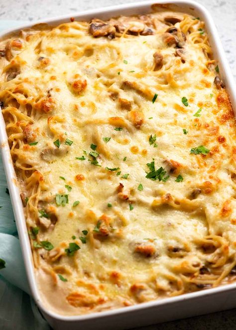 Pan of Chicken Tetrazzini - creamy chicken mushroom pasta bake, fresh out of the oven Chicken Mushroom Pasta Bake, Creamy Italian Chicken Pasta, Creamy Italian Pasta, Creamy Chicken Mushroom Pasta, Italian Pasta Bake, Chicken Mushroom Pasta, Chicken Tetrazzini Recipes, Tiny Pasta, Creamy Pasta Bake