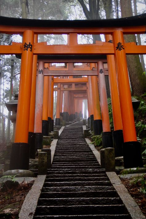 5 must-see places in Kyoto ... Travel Guide to the best shrines, temples, & castles to visit Japanese Shrine Photography, Fushimi Inari Shrine Photography, Japan Temple Aesthetic, Inari Temple, Kyoto Shrine, Shrines In Japan, Japan Shrine, Japanese Shrines, Asian Temple