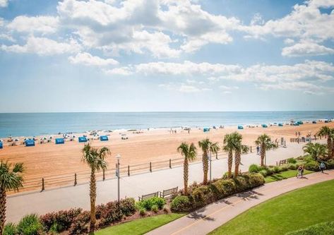 Virginia Beach Among Best Places to Live in U.S. Virginia Aquarium, Virginia Beach Vacation, Best Family Beaches, Virginia Beach Oceanfront, Suffolk Va, Marine Science, Beach Street, Natural Beauty Hacks, Virginia Travel