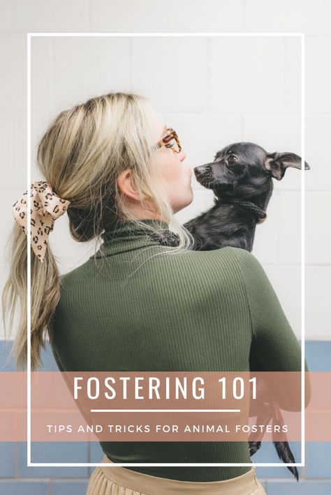 Dog Fostering Tips, Dog Rescue Ideas, Animal Fostering, Foster Dog Tips, Fostering Animals, Dog Rescue Fundraising Ideas, Volunteering With Animals, Animal Rescue Fundraising, Animal Rescue Ideas