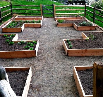 L Shape Garden Bed, L Shaped Garden Bed, L Shaped Raised Garden Bed, L Shaped Garden Ideas Layout, L Shaped Garden, Veg Gardens, Vege Garden Ideas, Allotment Ideas, Vege Garden