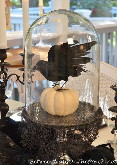 Halloween Cloche, Witches Tea, Halloween Table Settings, Cloche Decor, Halloween Fest, Halloween Centerpiece, Pumpkin Centerpieces, Glass Cloche, Classic Monsters