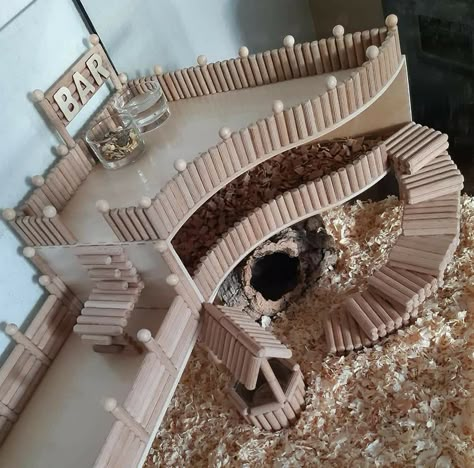 Diy Hamster Cage Accessories, Hamster Accessories Diy, Hamster Diy Ideas, Ideas Para Hamster, Mice Cage Ideas, Diy Gerbil Toys, Aesthetic Hamster Cage, Hamster House Ideas, Gerbil Cage Ideas