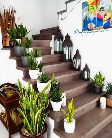 Follow us for inspiration and to spread the love of beautiful Indoor Plant Decor 🌿🌱⁠ Credits: 📸:@mycasajardim For beautiful plant merch check us out! Plant Decor, Indoor Plants, Stairs, Decor Ideas, Plants, On Instagram, Instagram, Home Decor, Home Décor