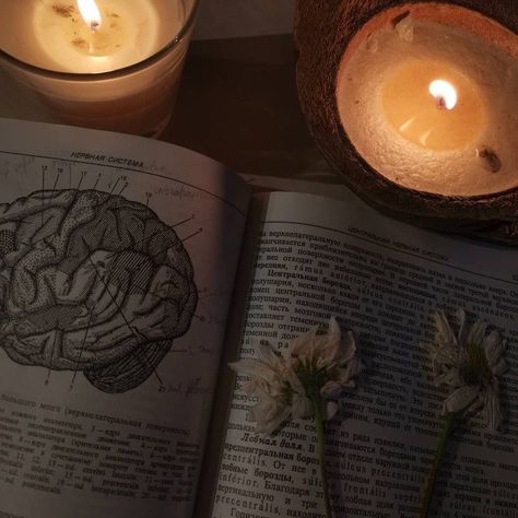 212 Meaning, 123 Meaning, Flowers Dark Academia, Psychologist Aesthetic, Dark Academia Study, Anatomy Science, Candles Flowers, Flowers Dark, Chaotic Academia