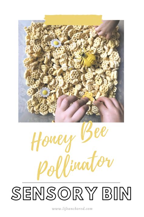 Honey Sensory Bin, Bee Sensory Bin, Sensory Processing Activities, Village Garden, Infant Classroom, Farm School, Farm Crafts, Sensory Integration, Sensory Processing Disorder