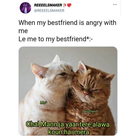 Best Friend Angry With Me, When Bestie Is Angry, Angry Best Friend Quotes, Angry Best Friend, Harami Friends, Bff Memes, Normal Quotes, Lesson Learned Quotes, Friendship Thoughts