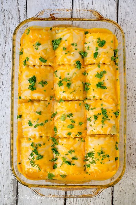 Newlywed Meals, Chicken Lasagna Roll Ups, Recipes With Lasagna Noodles, Easy Lasagna Recipe With Ricotta, Chicken Receipts, Lasagna Chicken, Pasta Entrees, Chicken Lasagna Rolls, Casserole Dinners