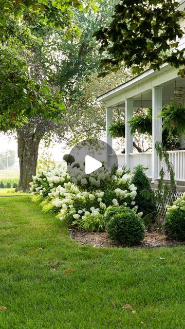 Kaleb Wyse on Instagram: "If you have hydrangeas, spring is the time to fertilize them! Here’s how to do it! As always, make sure to check your soil for its existing acid level." Kaleb Wyse, Wyse Guide, Hydrangea Landscaping, Planting Tips, Gardening Vegetables, Potting Tables, Hydrangea Care, Garden Hacks, Backyard Gazebo