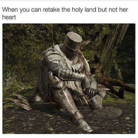 Dark Souls Funny, Dark Souls 2, Crusader Knight, History Jokes, Dark Souls Art, Morning Humor, Dark Souls, Really Funny Pictures, Crusades