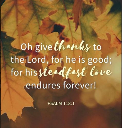 Harvest Scripture, Harvest Scripture Quotes, Thanksgiving Psalms, Thankful Bible Verse Thanksgiving, Psalm 118 1, Psalms 100:4-5 Thanksgiving, Bible Verse Pictures, Bible Quotes Images, Christian Bible Study