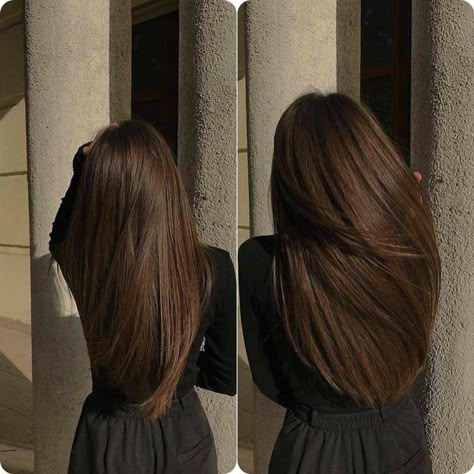 Brown Hair Balayage, Haircuts For Long Hair, Hair Inspiration Color, Brunette Hair, Aesthetic Hair, Layered Haircuts, Gorgeous Hair, Balayage Hair, Straight Hair