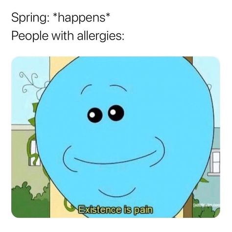 daily memes 💫 on Instagram: “allergies suck” Doordash Gift Card, Fuuny Memes, Happy Meme, Pretty Meme, Memes Life, True Memes, Memes Hilarious, Hilarious Memes, Me Too Meme