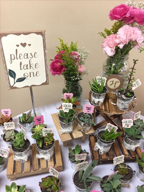 Succulents Party Theme, Boho Baby Shower Flowers, Baby Giveaways Ideas, Succulent Party Theme, Baby Shower Garden Theme, Garden Theme Baby Shower Ideas, Succulent Party, Baby Shower Themes Neutral