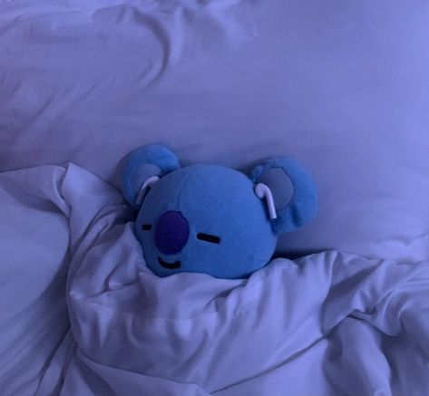 Bt21 Pfp Aesthetic, Blue Sleep Aesthetic, Koya Sleeping, Koya Plushie, Bangchan Sleeping, Sleep Core, Plushie Pfp, Bts Sleeping, Bts Vs Exo