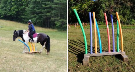 Diy Obstacle Course, Foal Training, Round Pens For Horses, Toys For Horses, Horses Images, Mint Ideas, Horse Obstacles, Truck Bed Liner, Horse Water