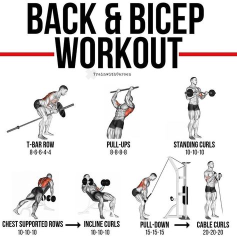 Cable Curls, Strength Mobility, Small Muscles, Back And Bicep Workout, Bicep Workout, T Bar Row, Dumbbell Curls, Muscle Building Workouts, Weight Training Workouts