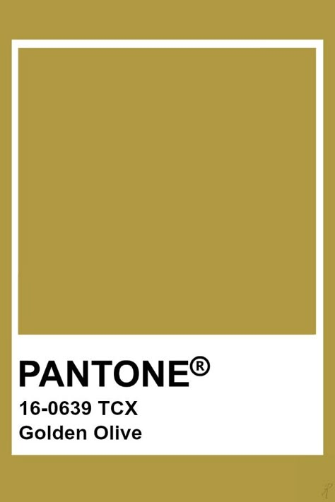 Pantone Golden Olive Golden Olive Color, Olive Gold Color Palette, Olive Green And Gold Color Palette, Olive Pantone, Pantone Green, Pantone Tcx, Pantone 2017, Yellow Pantone, Pantone Color Chart