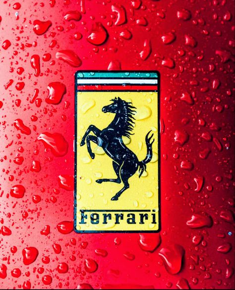 Scuderia Ferrari Logo, Mercedes Petronas, Belgian Grand Prix, Ferrari World, F1 Wallpaper Hd, Formula Uno, Ferrari F40, Formula 1 Car, Ferrari Car