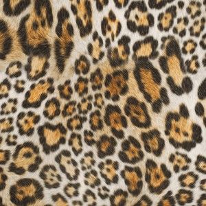 Jaguar Printed Micro-Polyester and Cotton Black Fabrics, Jaguar Print, Animal Print Fabric, Mood Fabrics, Fabulous Fabrics, Home Decor Fabric, Art Reference Poses, Fabric Decor, Print Fabric