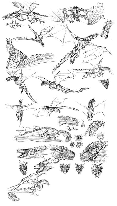 How To Draw Wyverns, Game Of Thrones Dragon Sketch, Dragon Drawing Game Of Thrones, Game Of Thrones Dragons Art, Wyvern Drawing Reference, Game Of Thrones Dragon Art, Game Of Thrones Art Sketches, Game Of Thrones Sketches, How To Draw Dragon