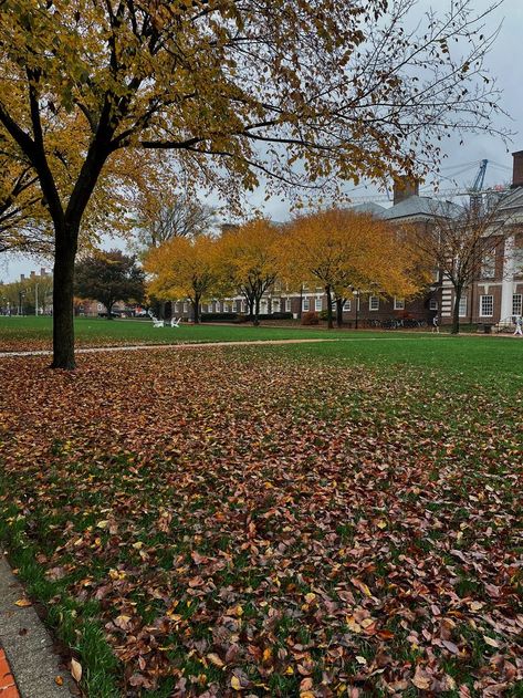 fall, fall leaves, leaves, leaf, trees, college town, college, university of delaware University Of Delaware Aesthetic, University Of Vermont Aesthetic, Delaware Aesthetic, 2024 Prayer, College Vibes, University Of Vermont, Student Diary, Yonsei University, Fordham University