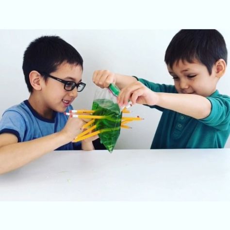 Experiments Kids, Kid Experiments, Easy Science Experiments, Science Projects For Kids, Science Activities For Kids, Cool Science Experiments, Kindergarten Science, Ziplock Bag, Preschool Science