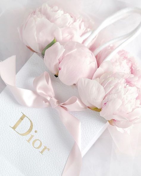 Pastel Color Moodboard, Pink Peony Aesthetic, Pink Peonies Aesthetic, Pink Dior Aesthetic, Peonies Aesthetic, Dior Flowers, Peonies Background, Peonies Wallpaper, Peony Aesthetic