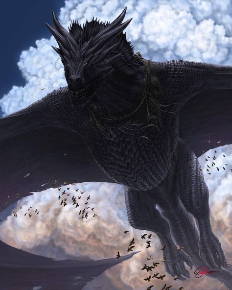 Balerion The Black Dread Size, Dragon Art Design, Drogon Got Fanart, Balerion Dragon Art, Black Wyvern, House Of The Dragon Dragons, Ayam Cemani Chicken, Cemani Chicken, Black Dragon Art