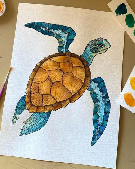 Turtle Illustration, Turtle Drawing, One Punch Man Anime, Cool Pencil Drawings, Turtle Painting, Turtle Art, Book Art Diy, Pencil Art Drawings, Creative Tattoos