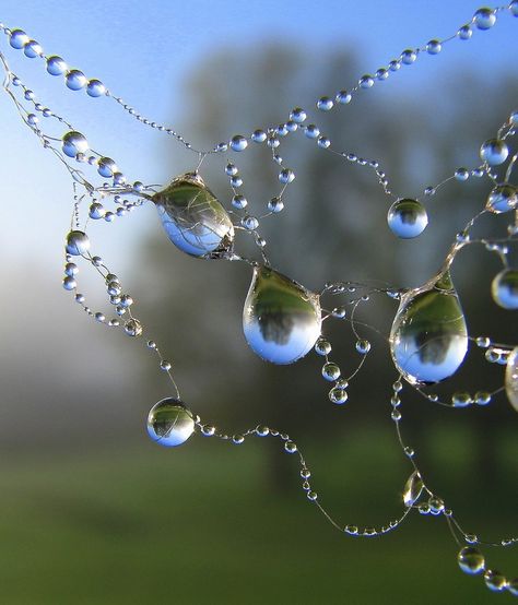 Water Drop Photography, Foto Macro, Drops Of Water, Pixie Hollow, Water Art, Dew Drops, Water Droplets, Jolie Photo, Abstract Photography