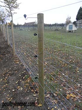 Poultry Fencing Poultry Fencing, Agricultural Fencing, Livestock Fence, Different Types Of Fences, Chicken Fence, Farm Fence, Chicken Diy, Electric Fence, Chicken Coops