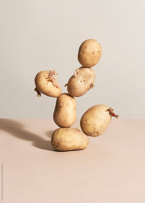 An equilibrated composition with potatoes Potato Photography, Korean History, Advertising Photography, Food Waste, Food Styling, Be Still, Art Direction, Still Life, Design Elements