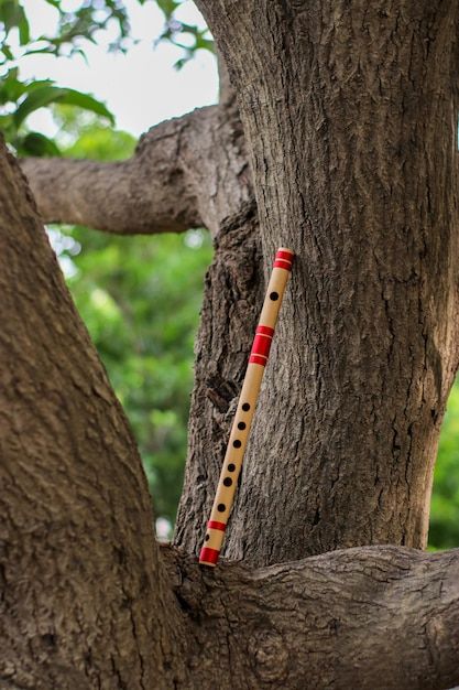 Bamboo Flute, Fondant Rose, Krishna Janmashtami, Premium Photo, Krishna, Fondant, Hair Wrap, Stock Photos, Beauty