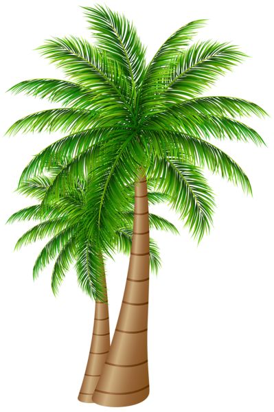 Palm Tree Cakes, Palm Tree Clip Art, Palm Tree Images, Tree Clip Art, Dates Tree, Islamic Stories, Lobster Design, Free Green Screen, Floral Cards Design