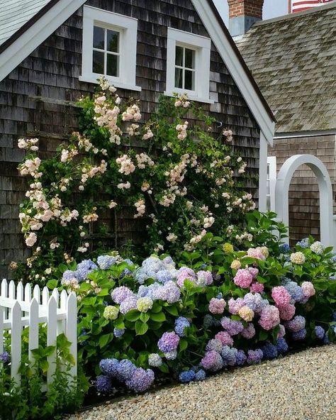 House With Flowers, Nantucket Cottage, Nantucket Style, Cottage Garden Design, White Picket Fence, Beach Cottage Decor, Beach Cottage Style, Climbing Roses, Picket Fence