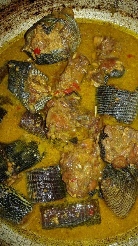 Curry iguana with coconut milk and peper...yummy ....trini food# wildmeat# Trinidadian Curry Chicken, Curry Chicken Trinidad Recipe, Iguana Food, Curry Chickpeas Trinidad, Trinidad Curry Chicken, Curry Chana Trinidad, Trinidad Recipes, Carribean Food, Trini Food