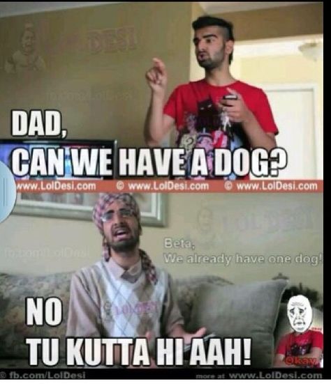 "Dad can we have a dog?" "Tu kutta hi hai" translation: "you're the dog" BURNNNN Desi Problems, Punjabi Jokes, Punjabi Funny, Indian Funny, Indian Jokes, Desi Jokes, Funny Words To Say, Bollywood Funny, Desi Quotes