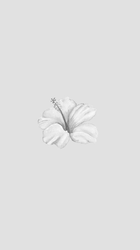 Clean White Wallpaper, White Simple Wallpaper, White Asthetics Wallpaper, Wallpaper Clean, White Wallpaper For Iphone, Flower White, Phone Background, Simple Wallpapers, White Wallpaper